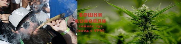 мяу мяу мука Беломорск